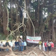 Villagers protesting to conserve the 400-year-old banyan tree at Bhose village.